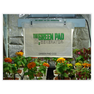 Grandaddy Green Pad (2 x XL Pads)