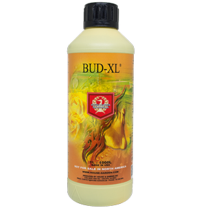 House and Garden Bud XL 500ml