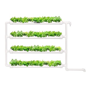 Wall Mount Hydroponic System 20 Pot