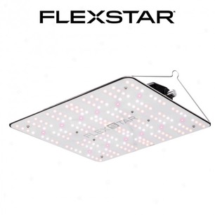FlexStar Quantum Board 120W LED